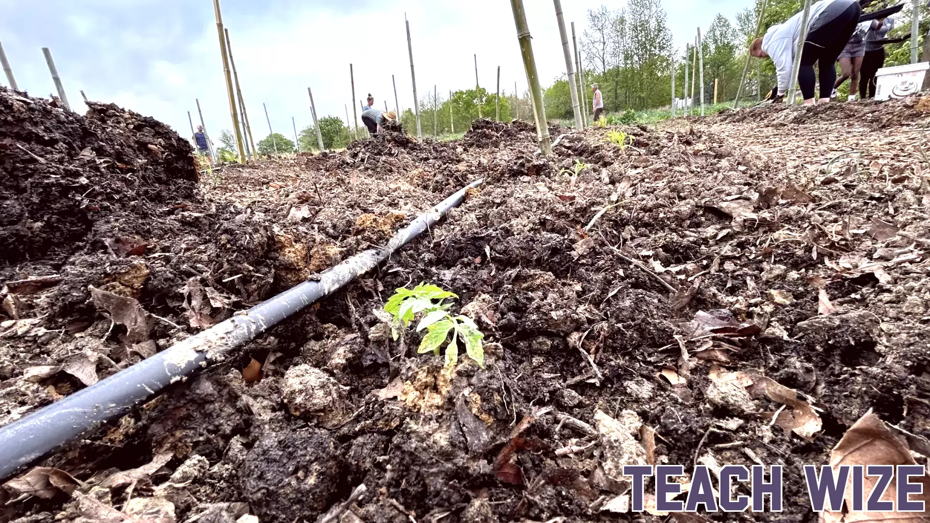 Community Comes Together to Plant Over 250 Tomato Plants at Rappahannock Education Farm